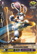 Chronovolley Rabbit