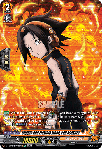 Supple and Flexible Mana, Yoh Asakura