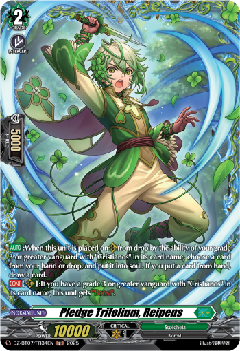 Pledge Trifolium, Reipens