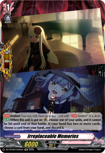 Irreplaceable Memories