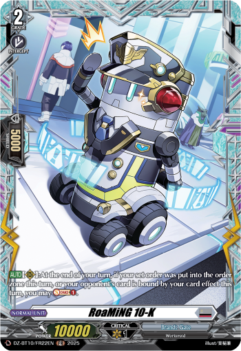 RoaMiNG 10-K RoaMiNG 10-K