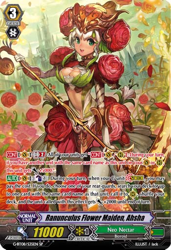 Ranunculus Flower Maiden, Ahsha